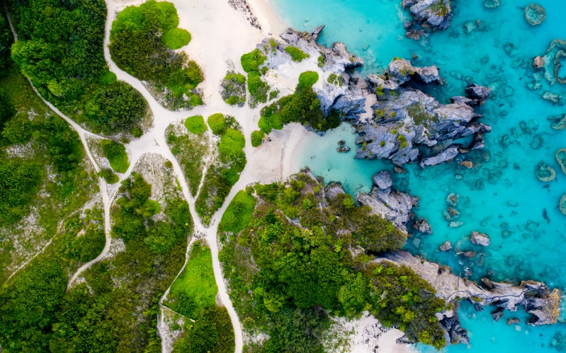 Classic Bermuda Escape