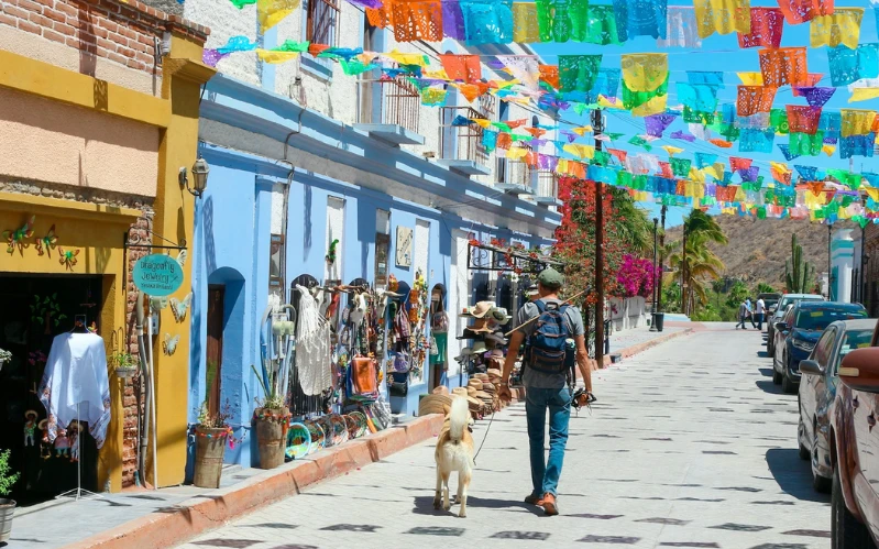 Mexico Self-Drive Adventure: Mexico City to Baja California
