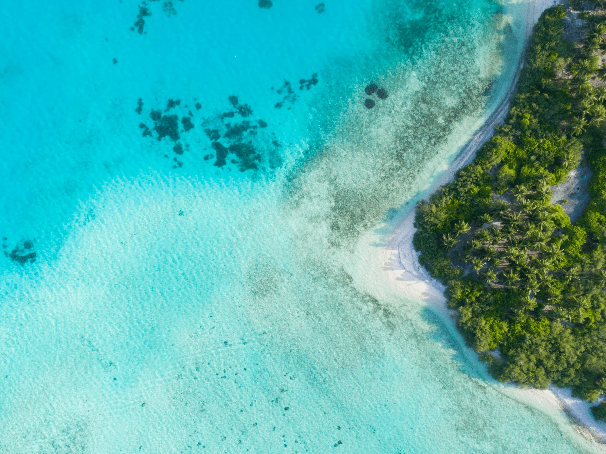 The Maldives Premium All-inclusive