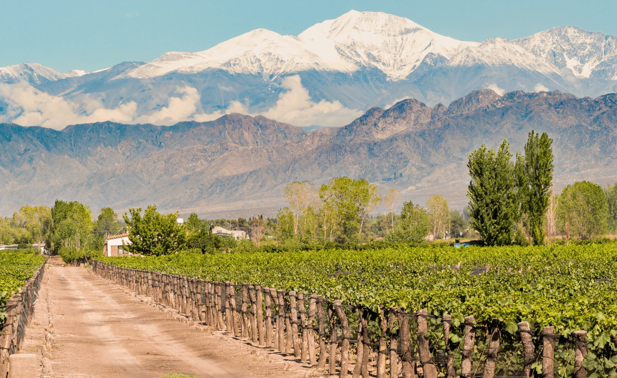 Wine And Dine In Chile & Argentina