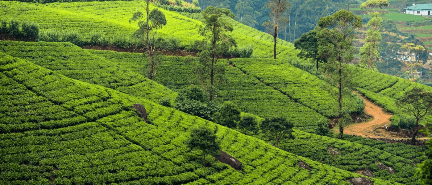 Indonesia