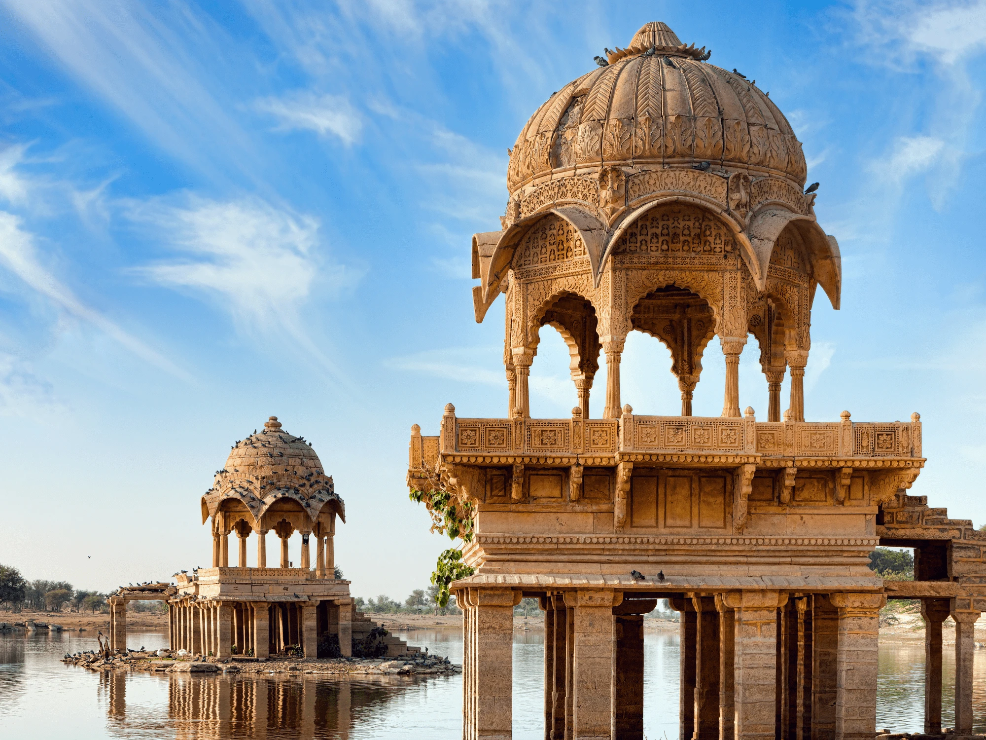 The Best Of Rajasthan