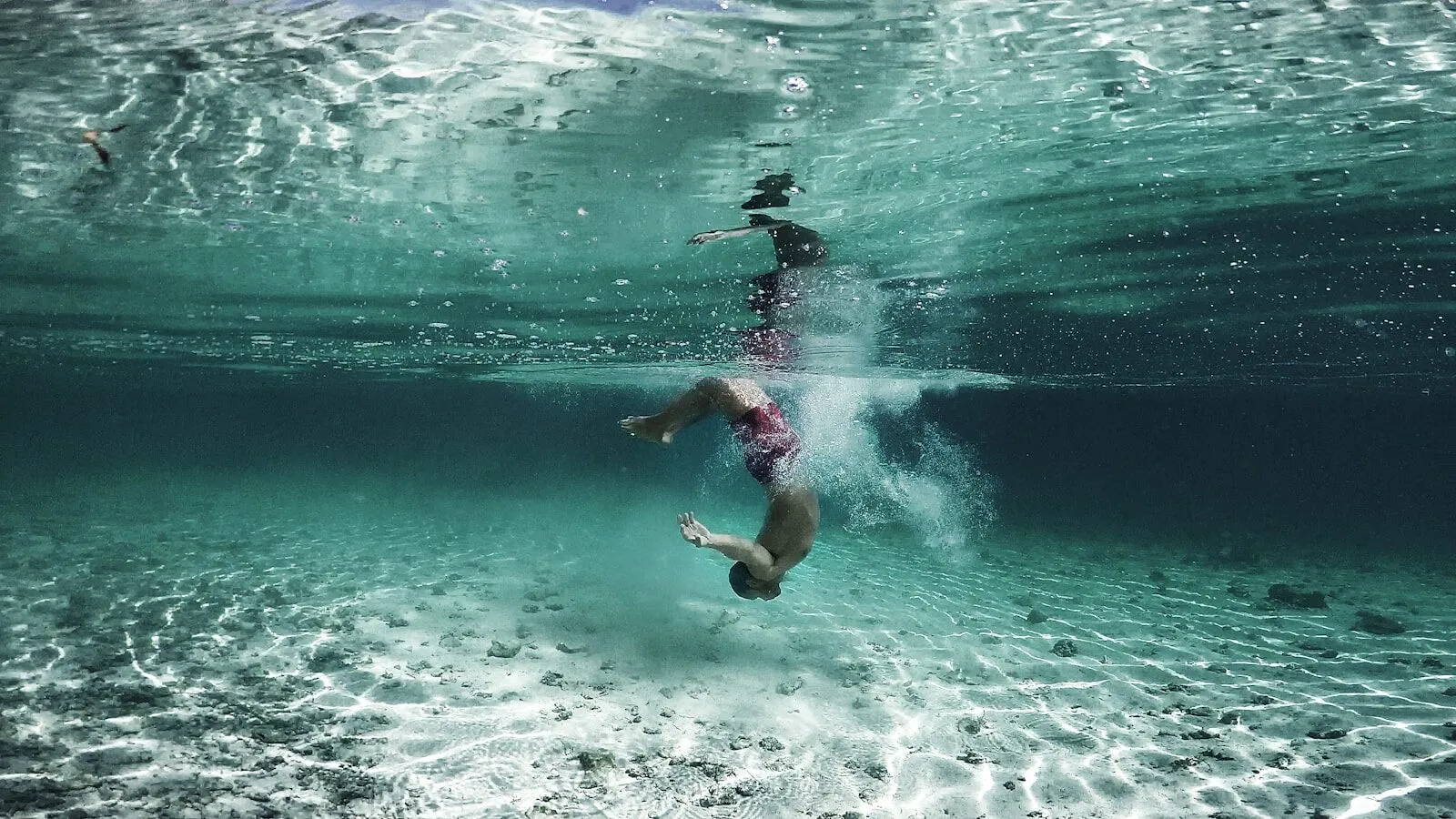 Bora Bora Snorkeling & Reef Trip