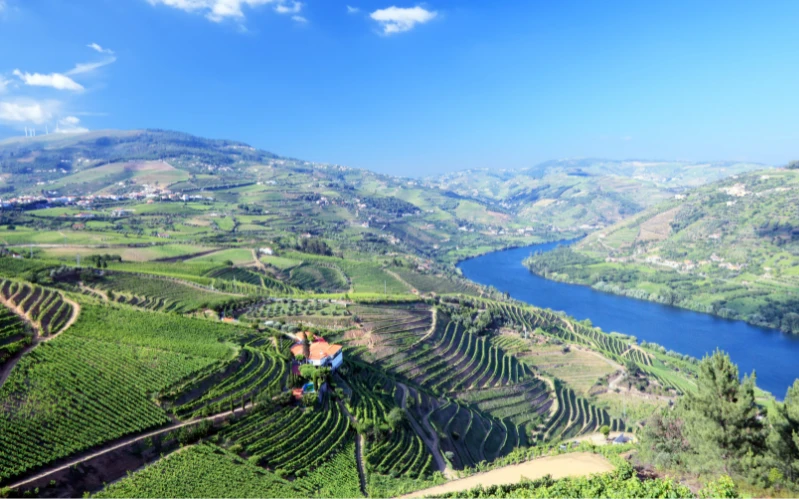 Portugal Food and Wine Tour: Lisbon, Porto & Douro Valley