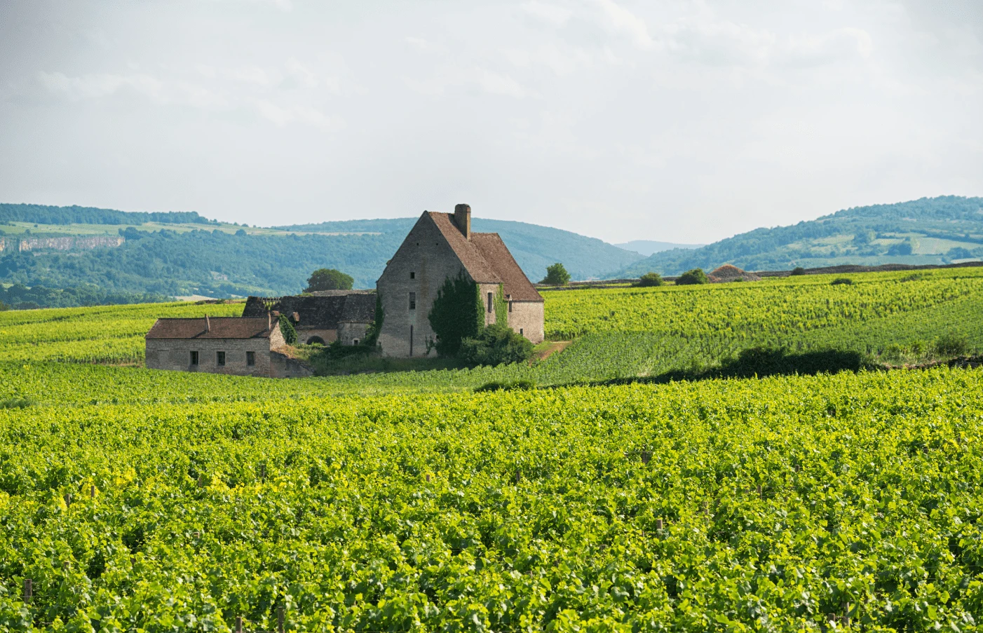 Gay Group Trip: The Essence of Burgundy & Provence River Cruise