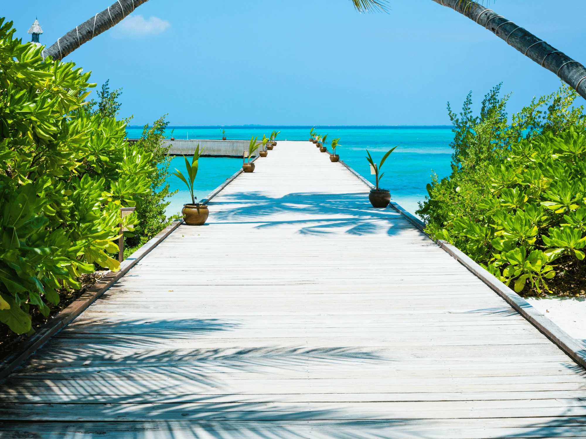 The Maldives