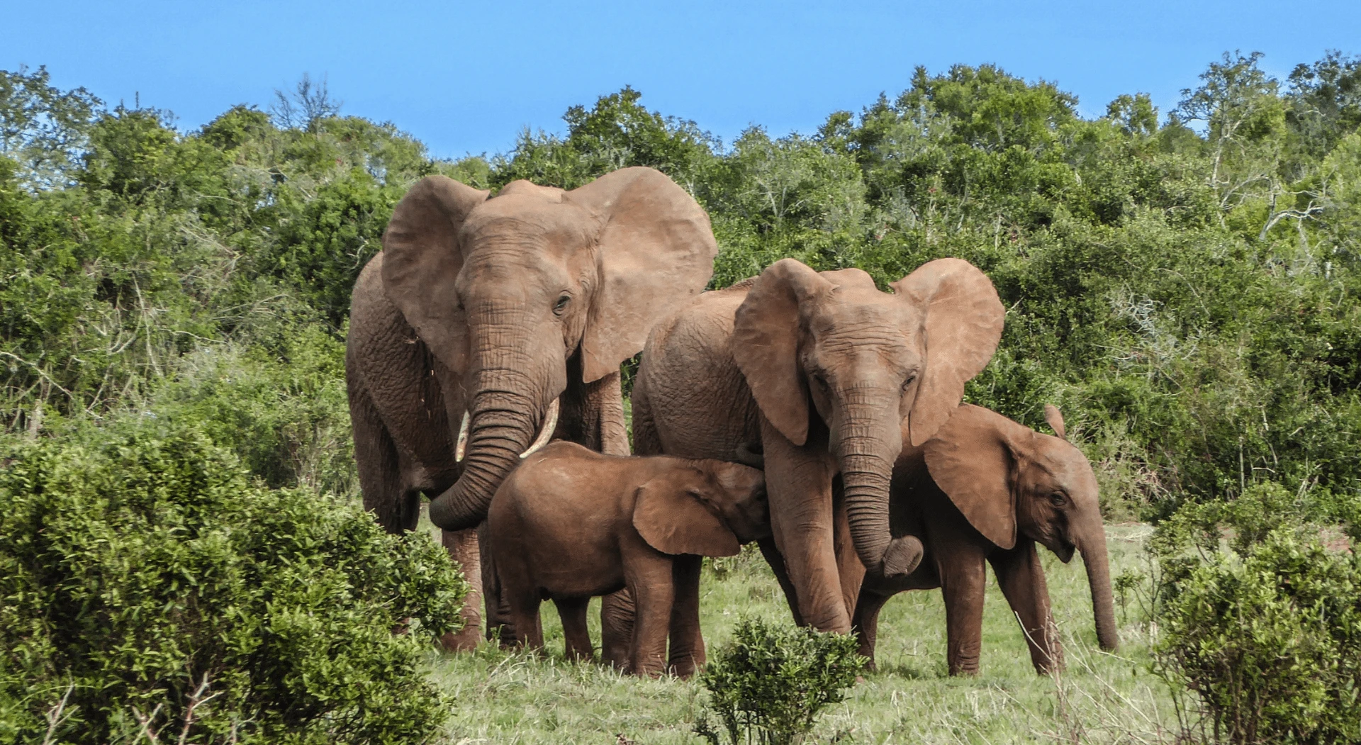 South Africa