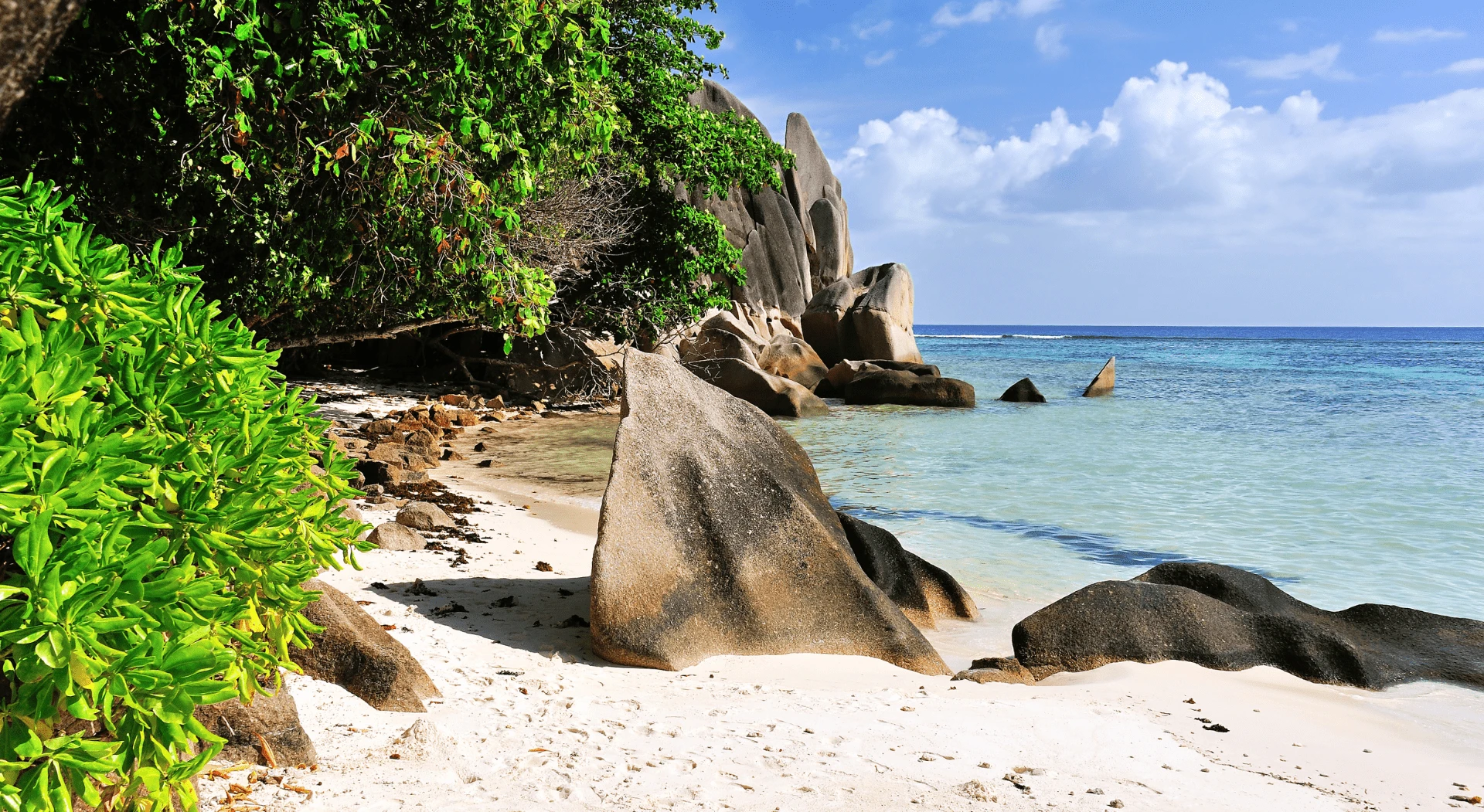 The Seychelles
