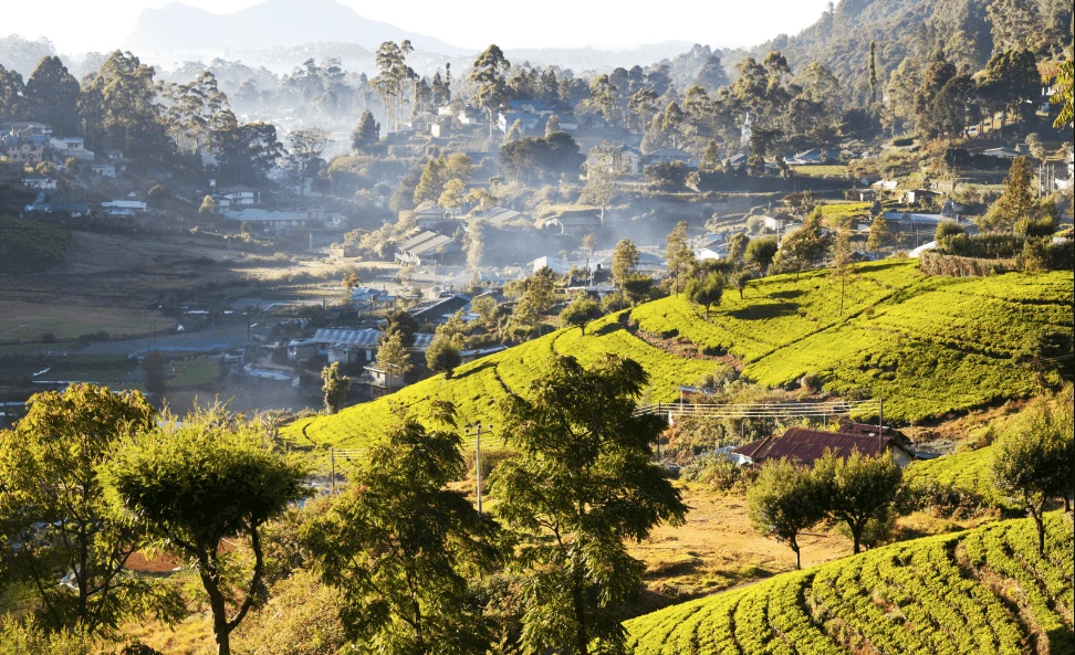 Day 4: Hiriwadunna Village