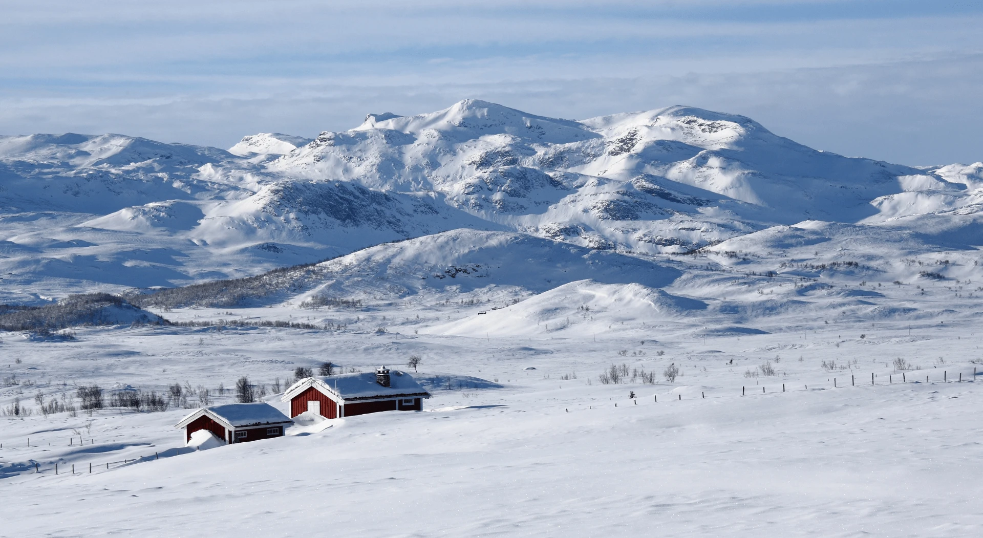 Northern Lights and Snowmobiling Adventure