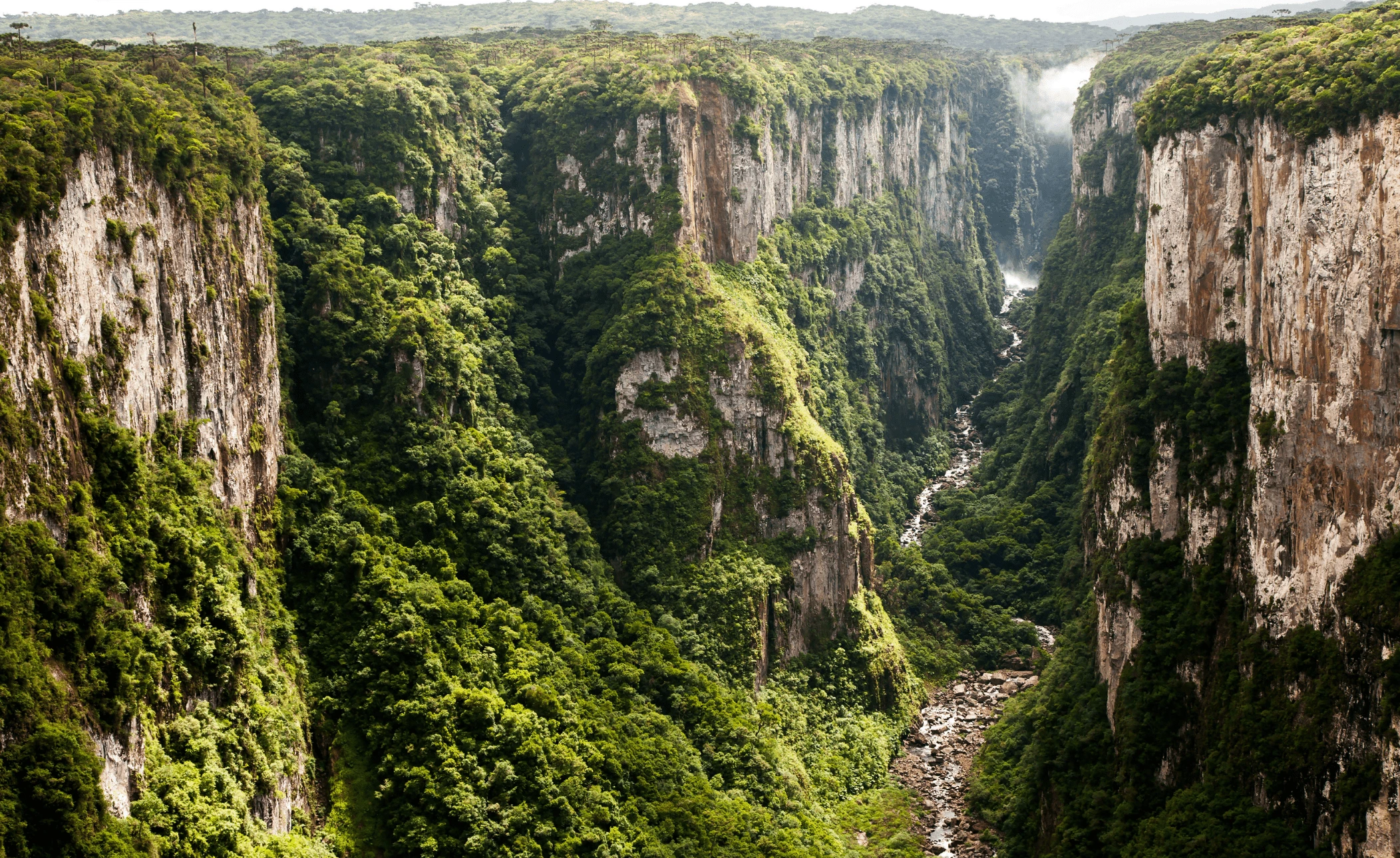 Rio De Janeiro, Iguazu Falls, Sao Paulo & Florianopolis