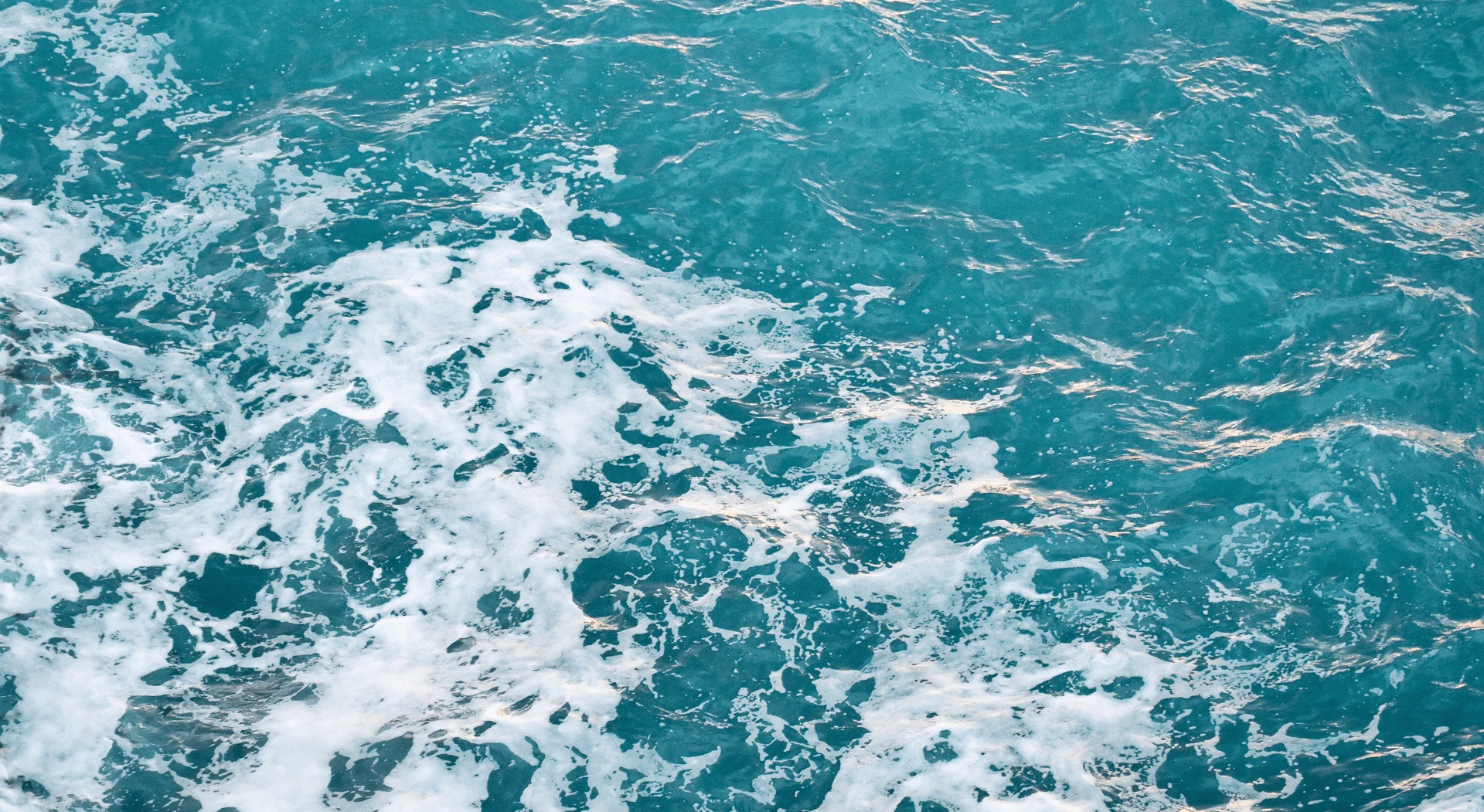 Day 8: At Sea