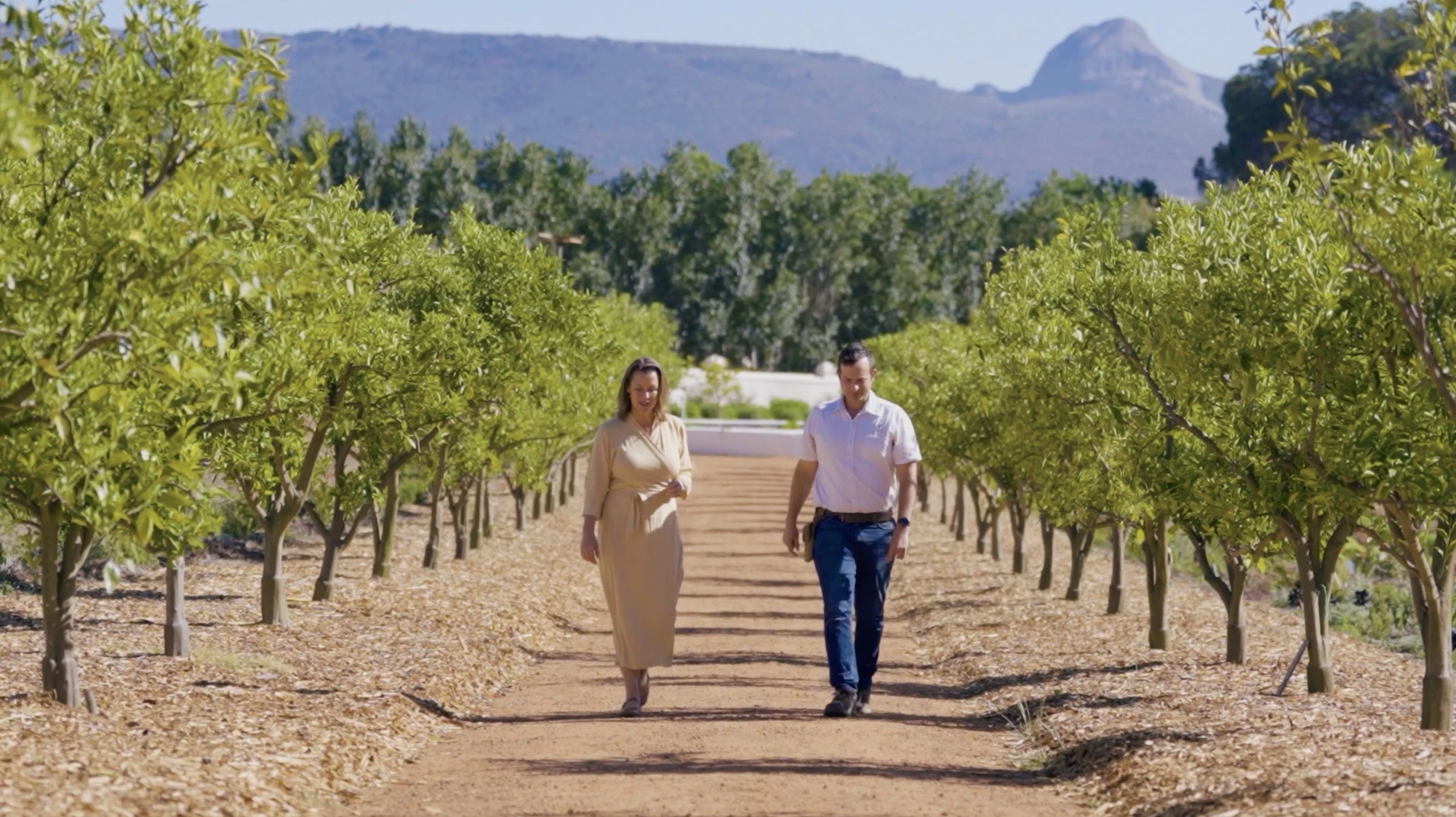 Babylonstoren