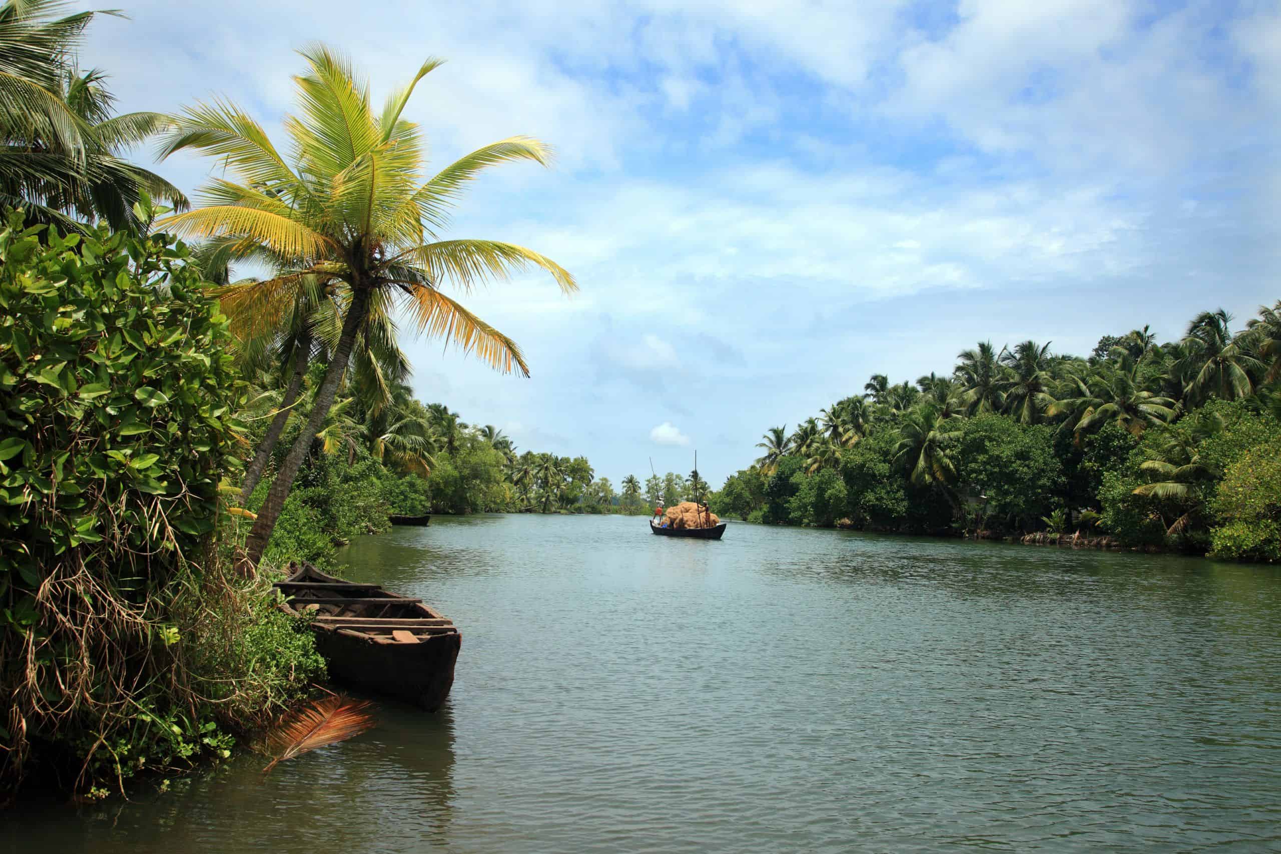 Discover Kerala