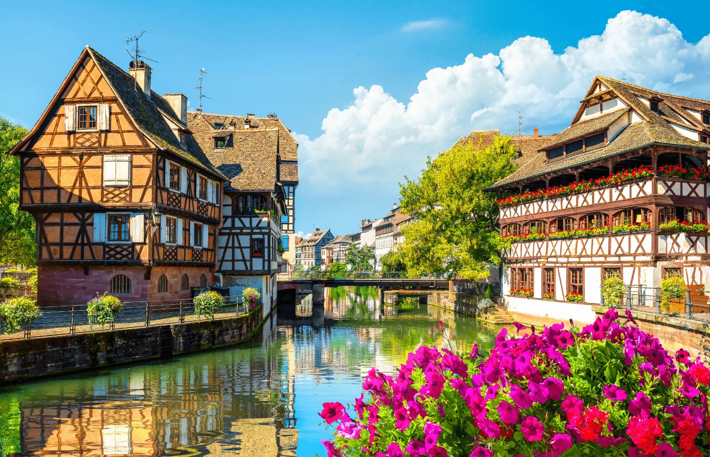 Gay Group Trip: Amsterdam And Rhine River Cruise