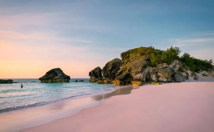 Bermuda Honeymoon