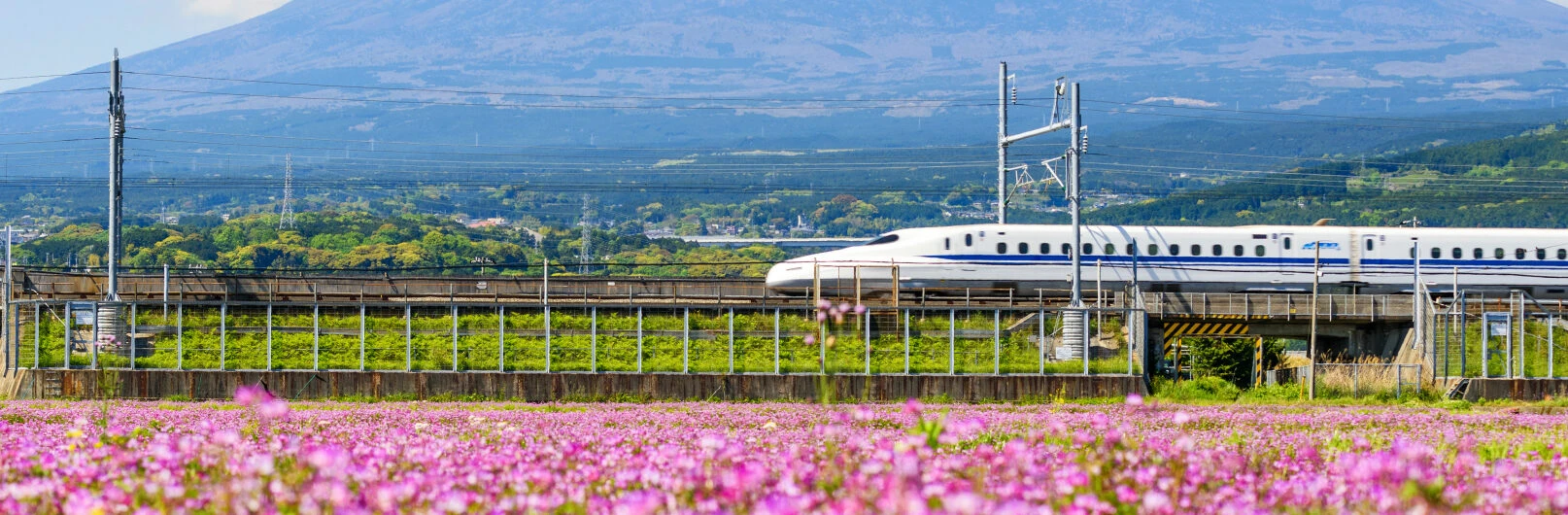 China and Japan by Bullet Train