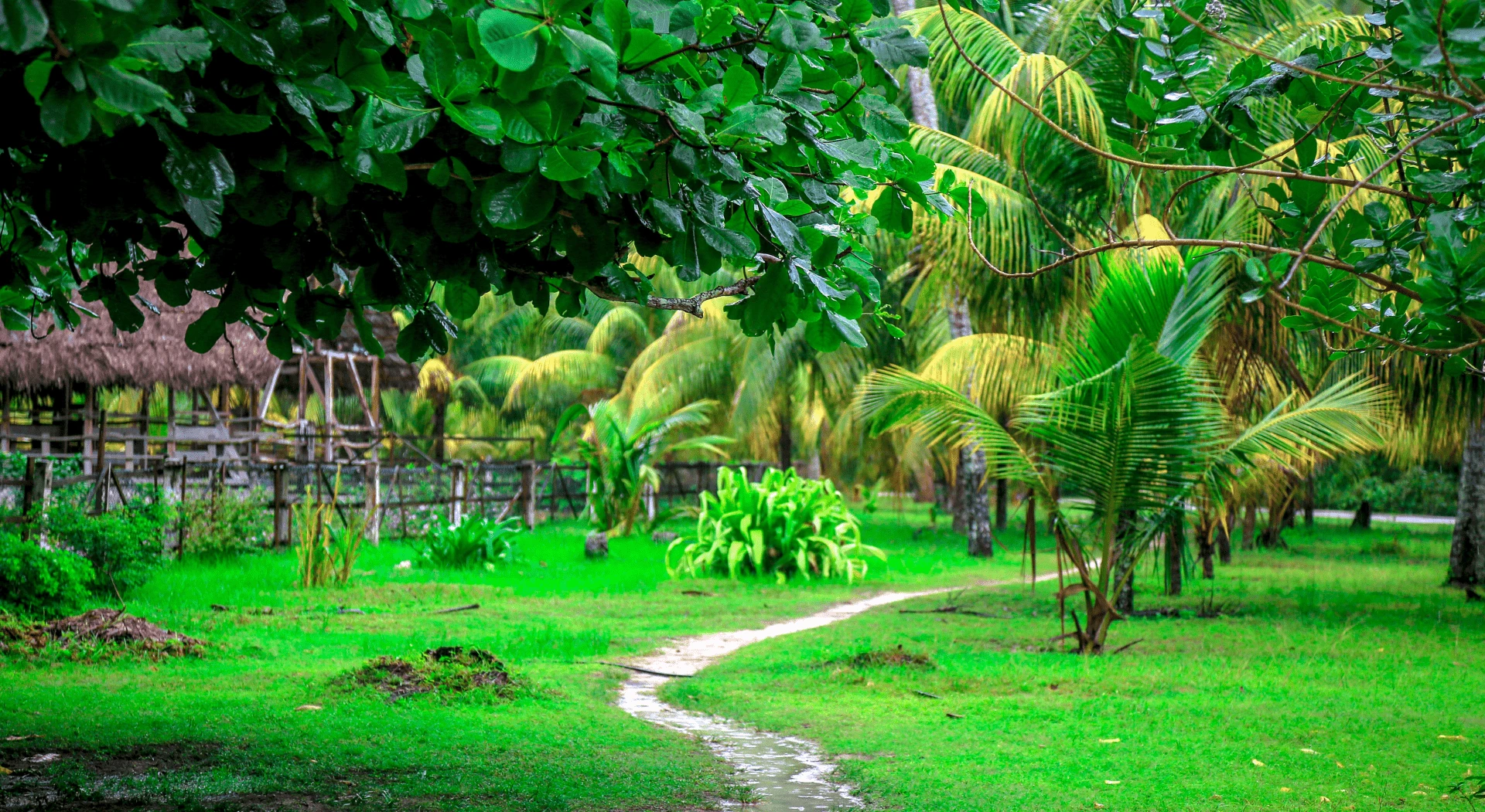 Ultimate Luxury: The Seychelles