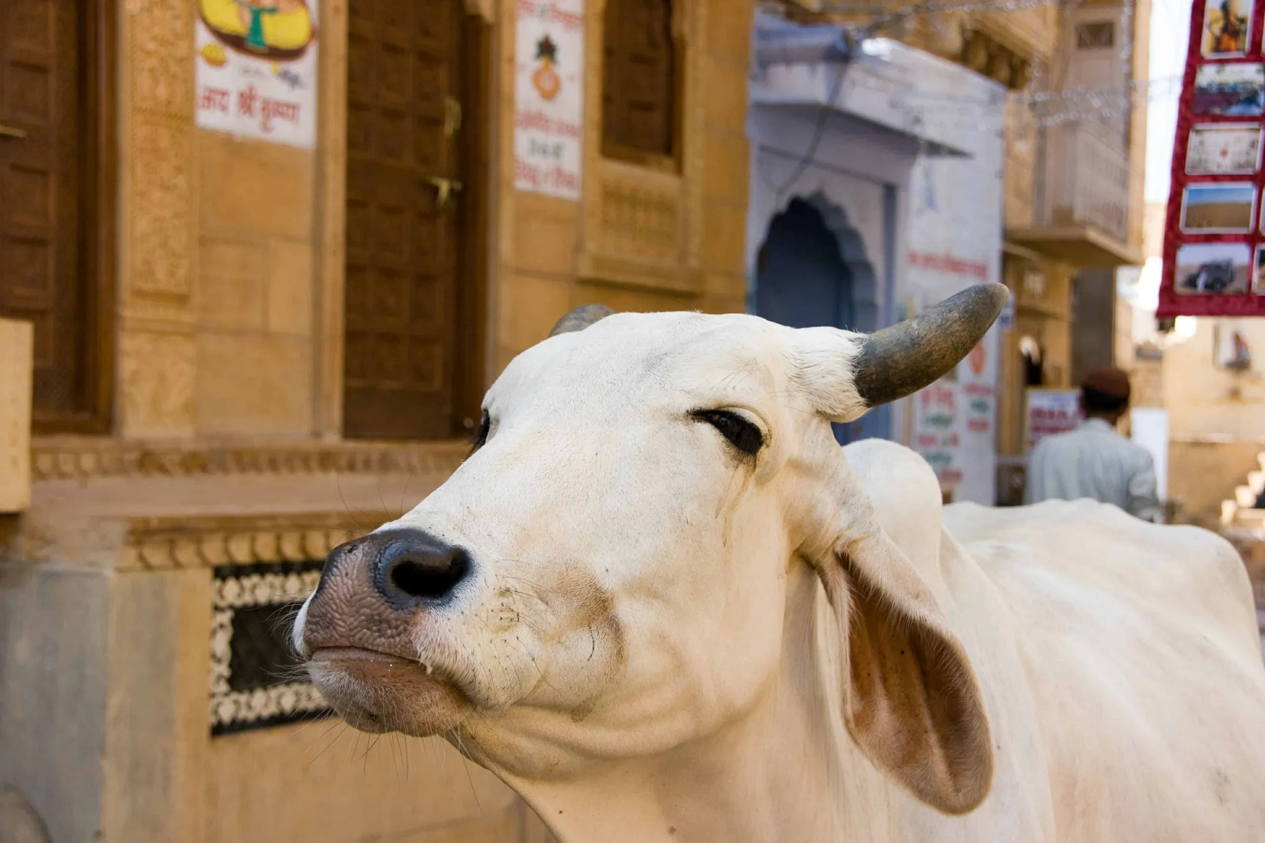 Day 3: Delhi to Agra 