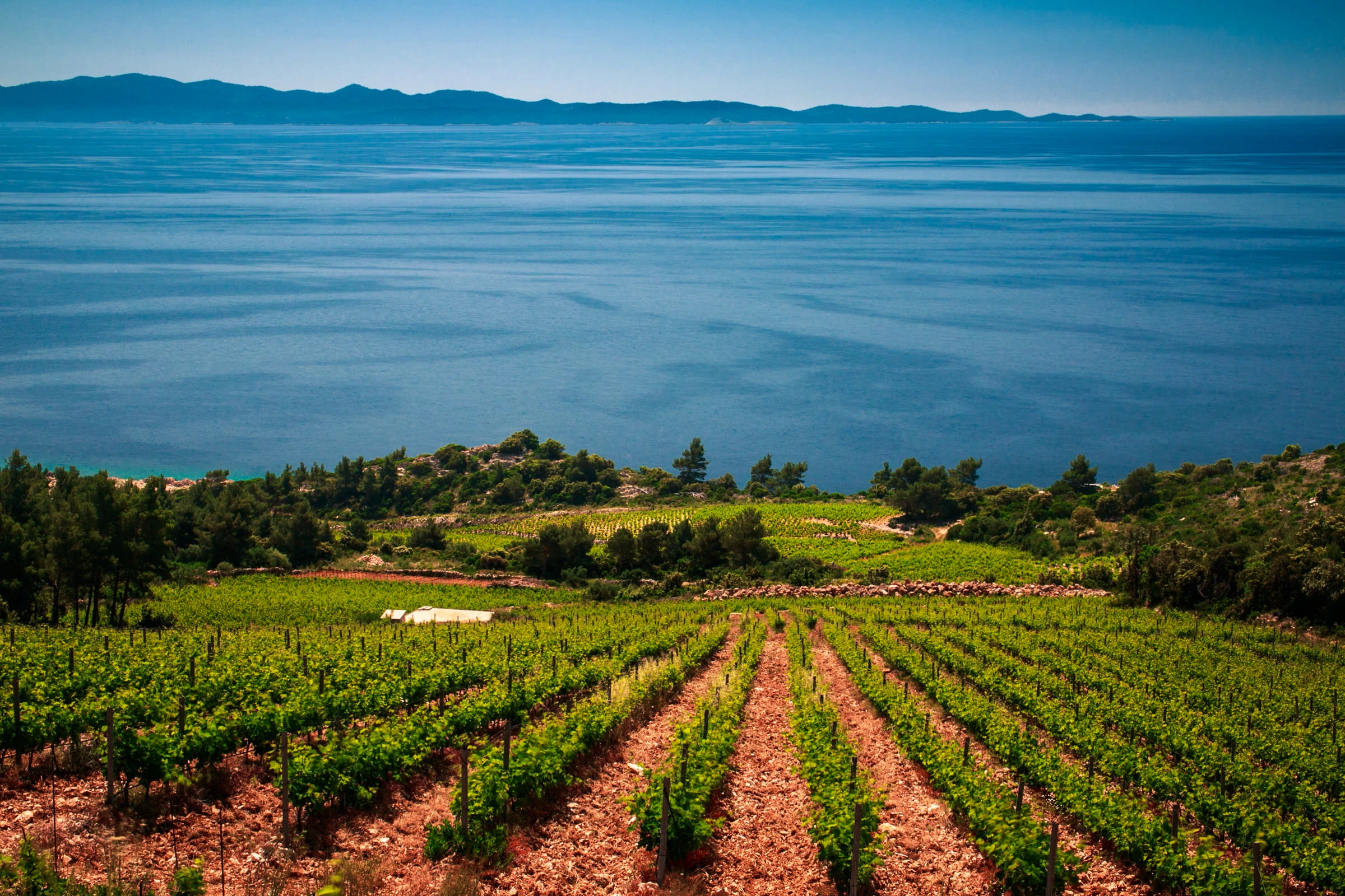 Croatia Food And Wine Tour