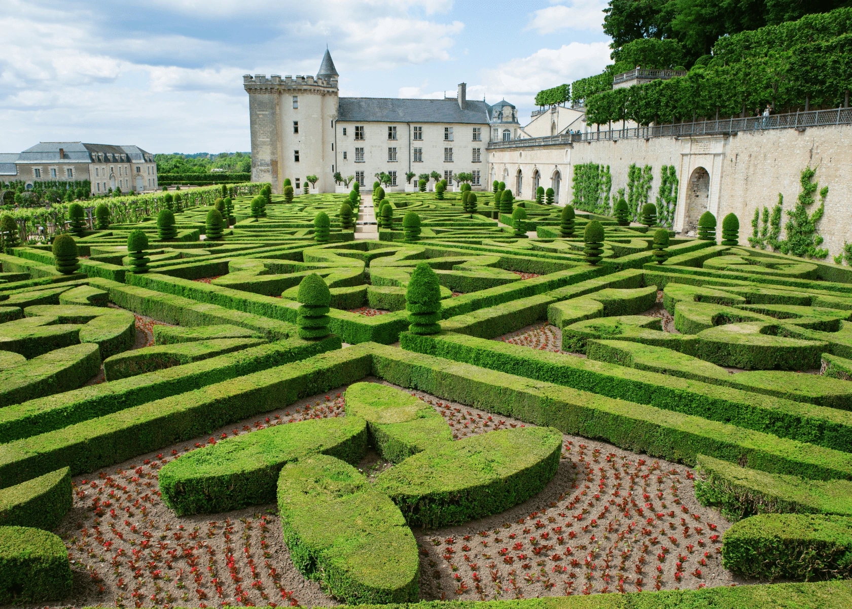 Day 7: Loire Valley