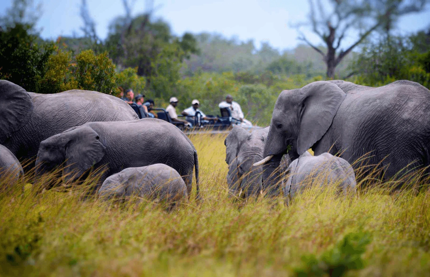 Day 7: Sabi Sands