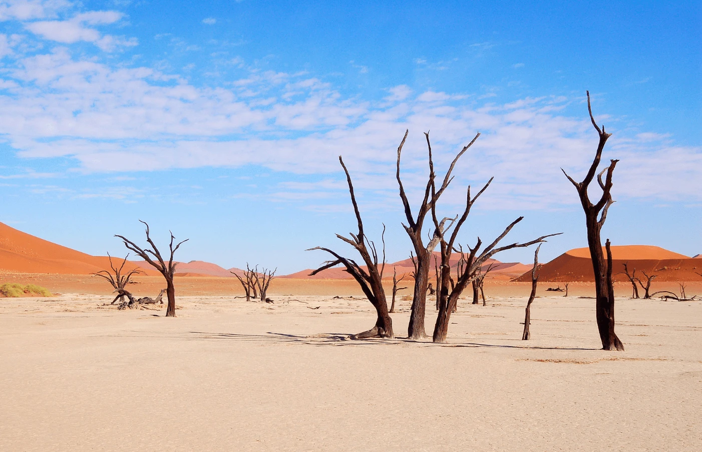 Day Two: Sossusvlei
