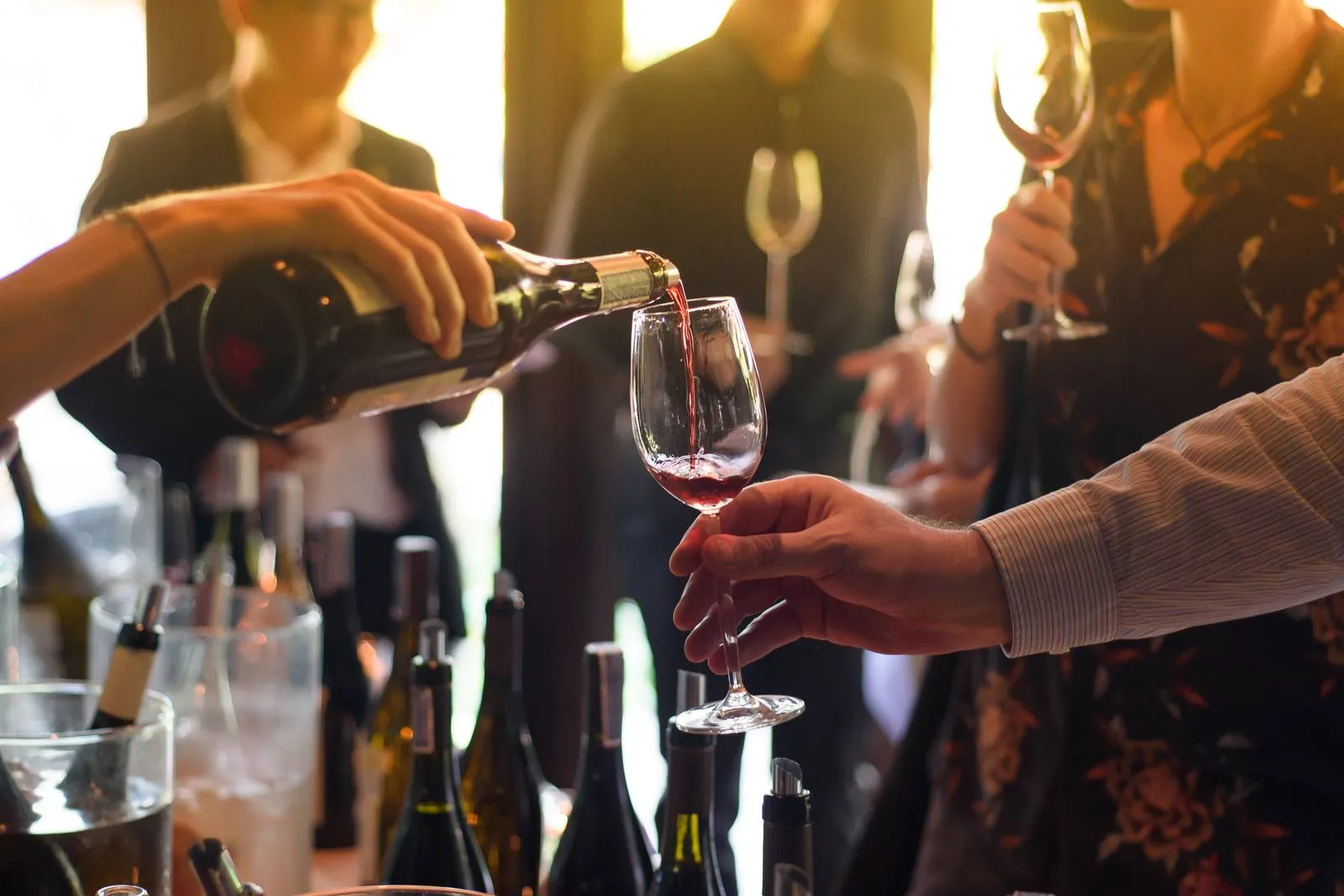Luxury Provence Wine Tour for LGBTQ+ Travelers