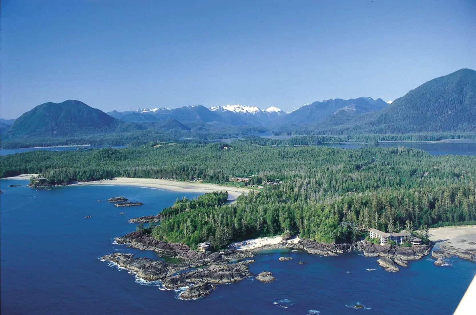 Whales, Bears and Vancouver Island
