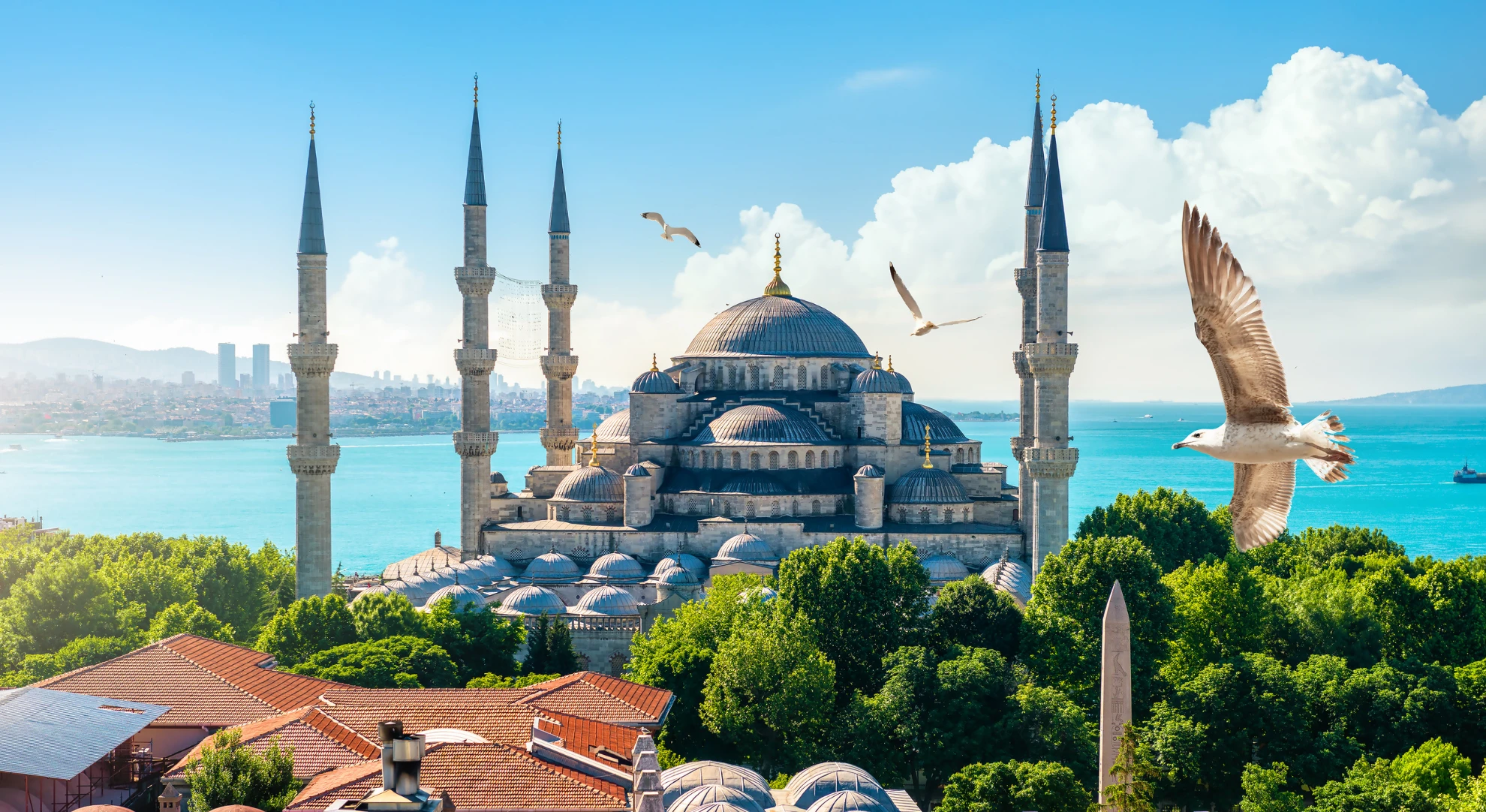 Turkey