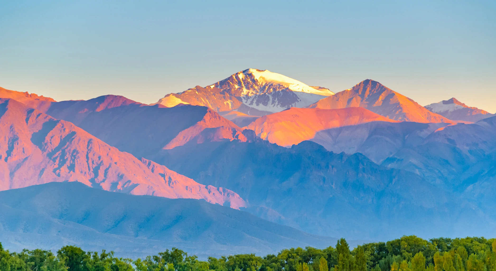 Salta vs Mendoza: Argentina’s Wine Regions Compared