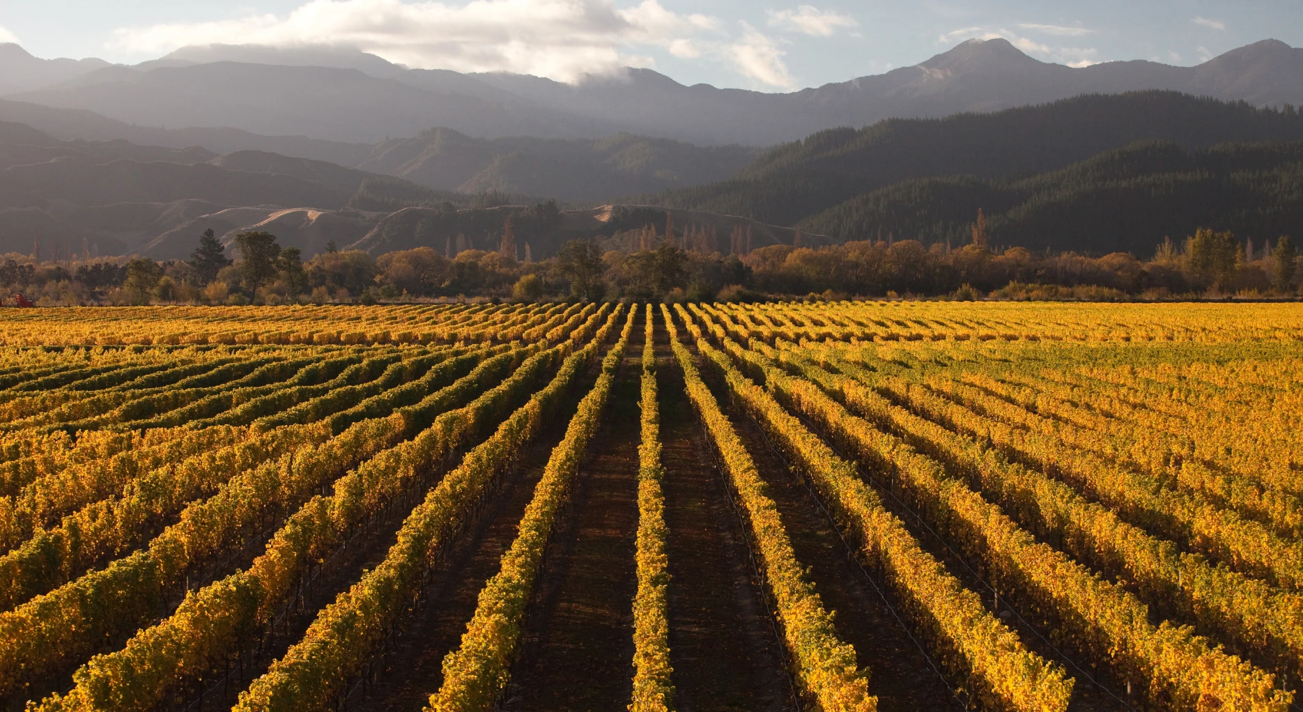 Gay Honeymoon in New Zealand: A Luxury South Island Tour