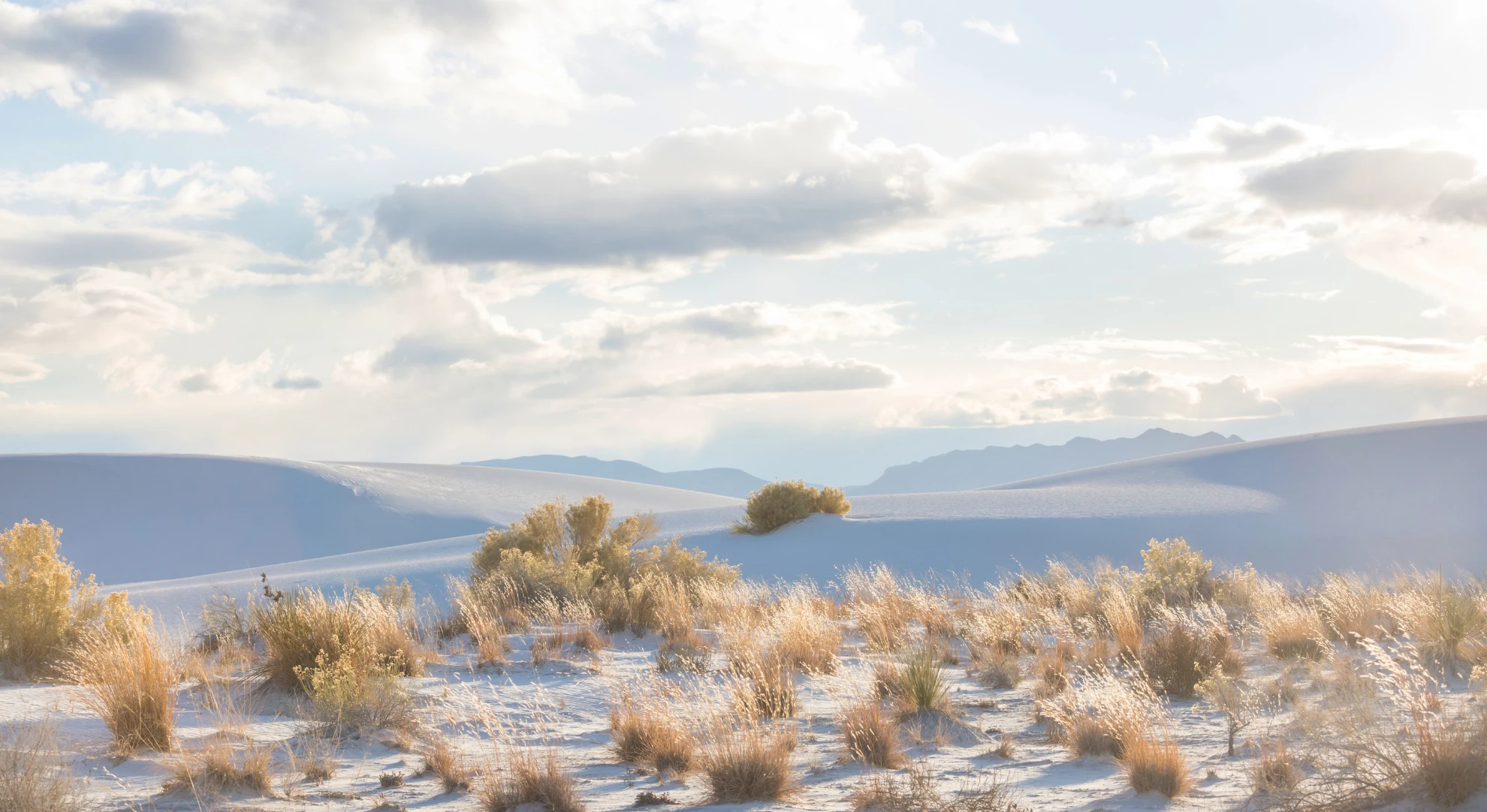 Luxury New Mexico: Santa Fe, Los Alamos & Breaking Bad Locations