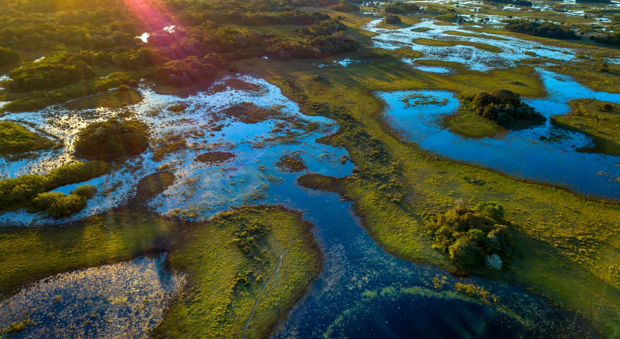 Pantanal - Beazil