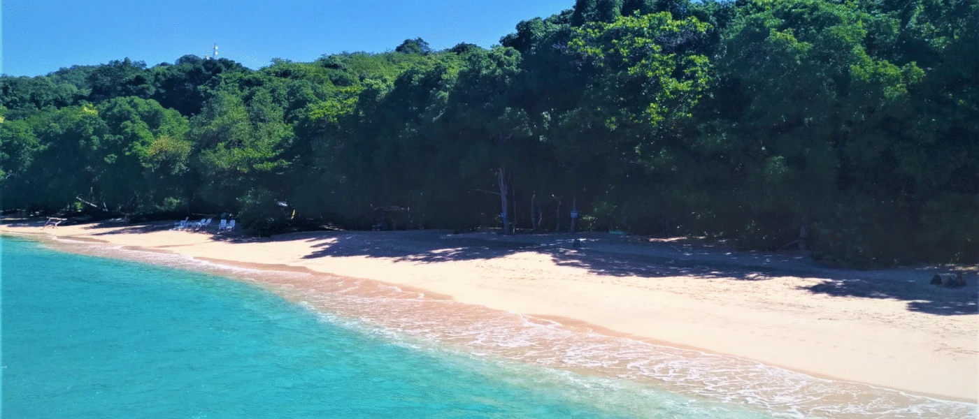 Barbados vs Bequia: Which Island Should You Visit?