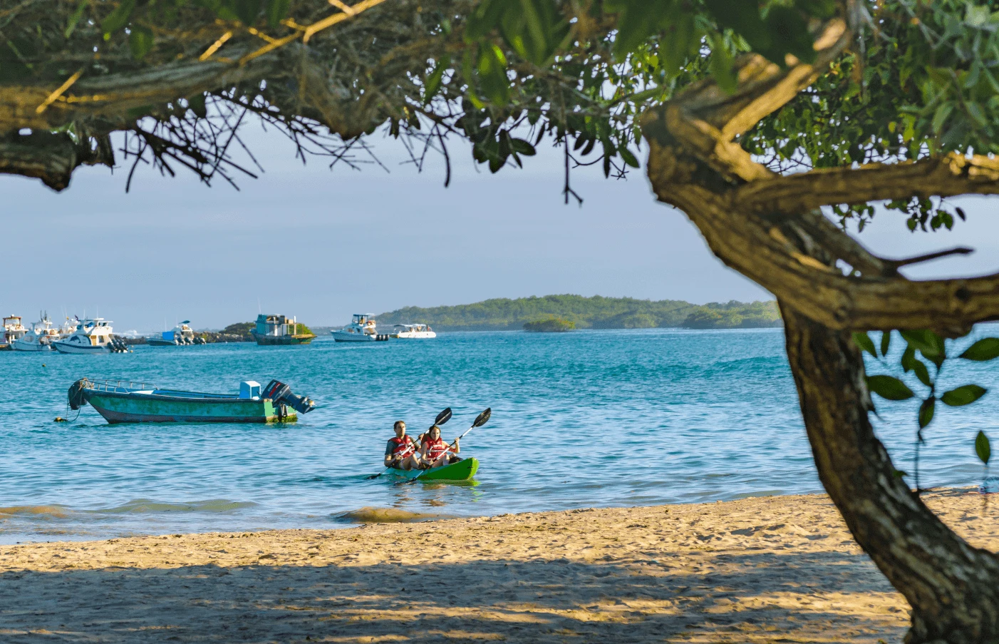 Gay Group Trip: 8 Days in Ecuador & the Galapagos