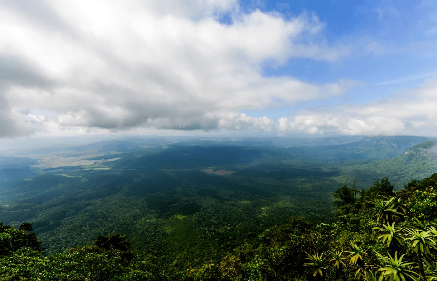 Day 1 to 3: Johannesburg and Mpumalanga