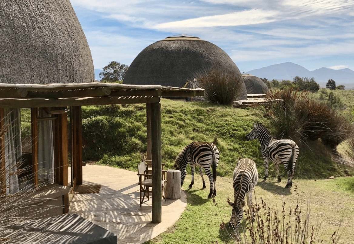 Gondwana Game Reserve