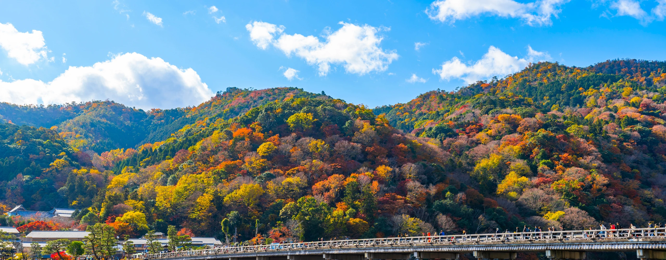 Family-Friendly Japan Tour: Tokyo, Hakone & Kyoto