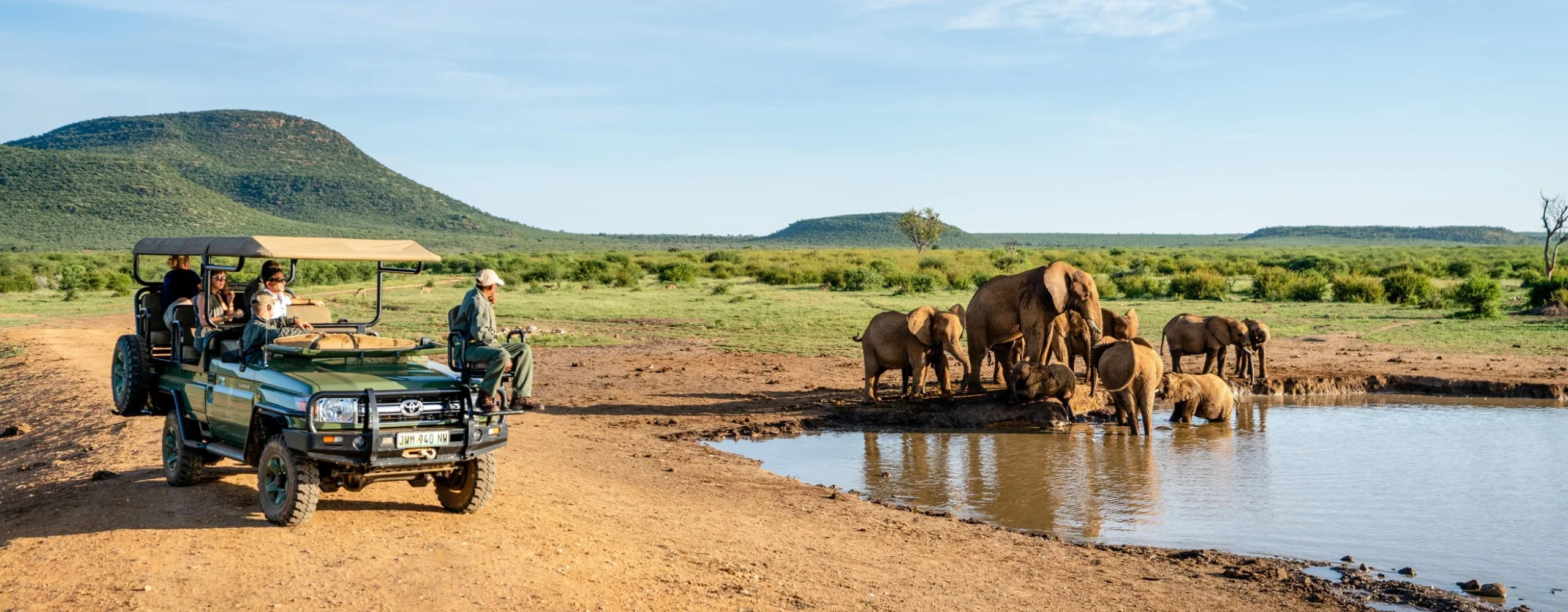 Essential South Africa: Johannesburg, Sun City and Safari