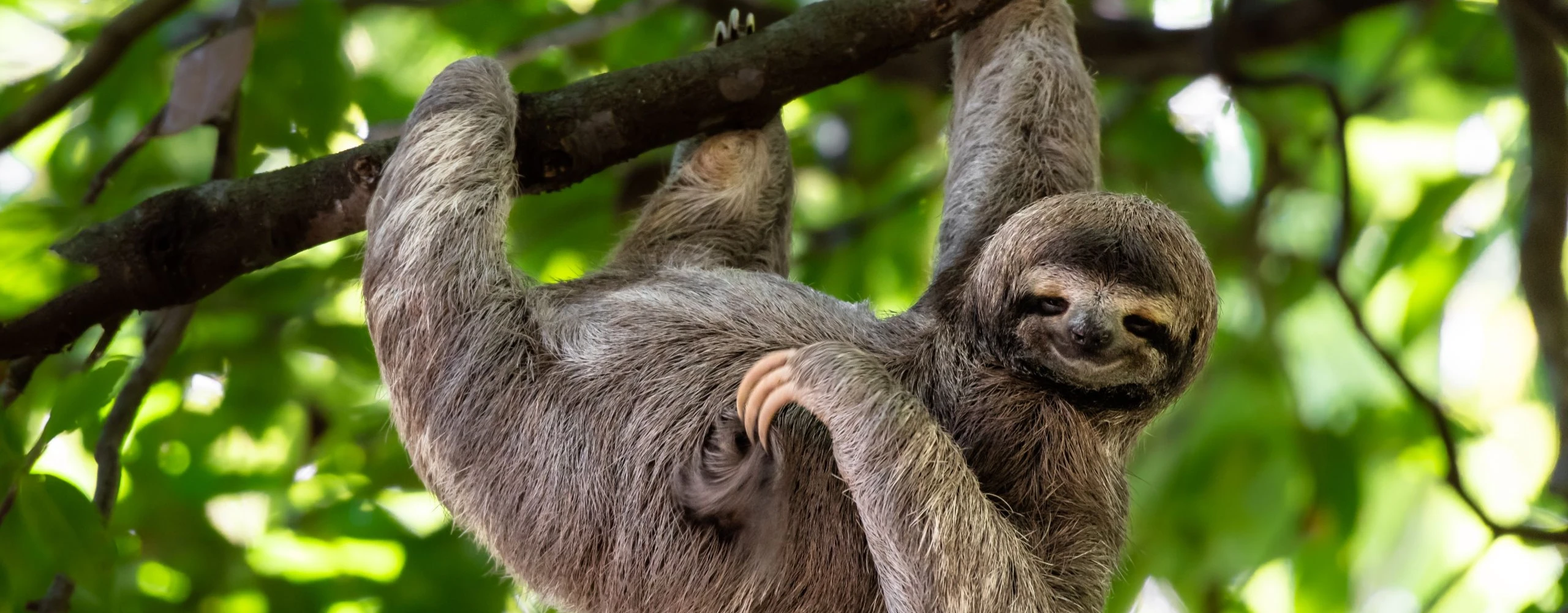 Costa Rica Family Adventure