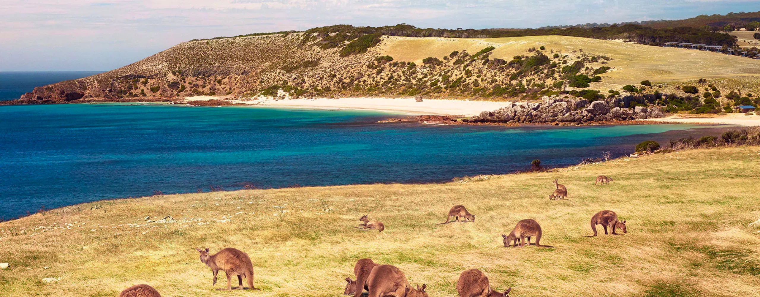 Australia’s Wild South with Kangaroo Island Heli-Safari
