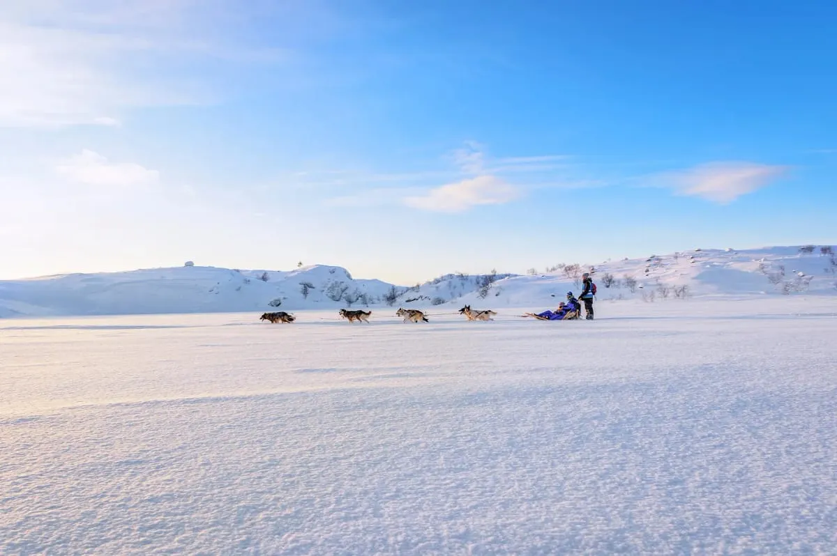 North Norway Tour: Tromsø, King Crab & the Arctic Snow Hotel