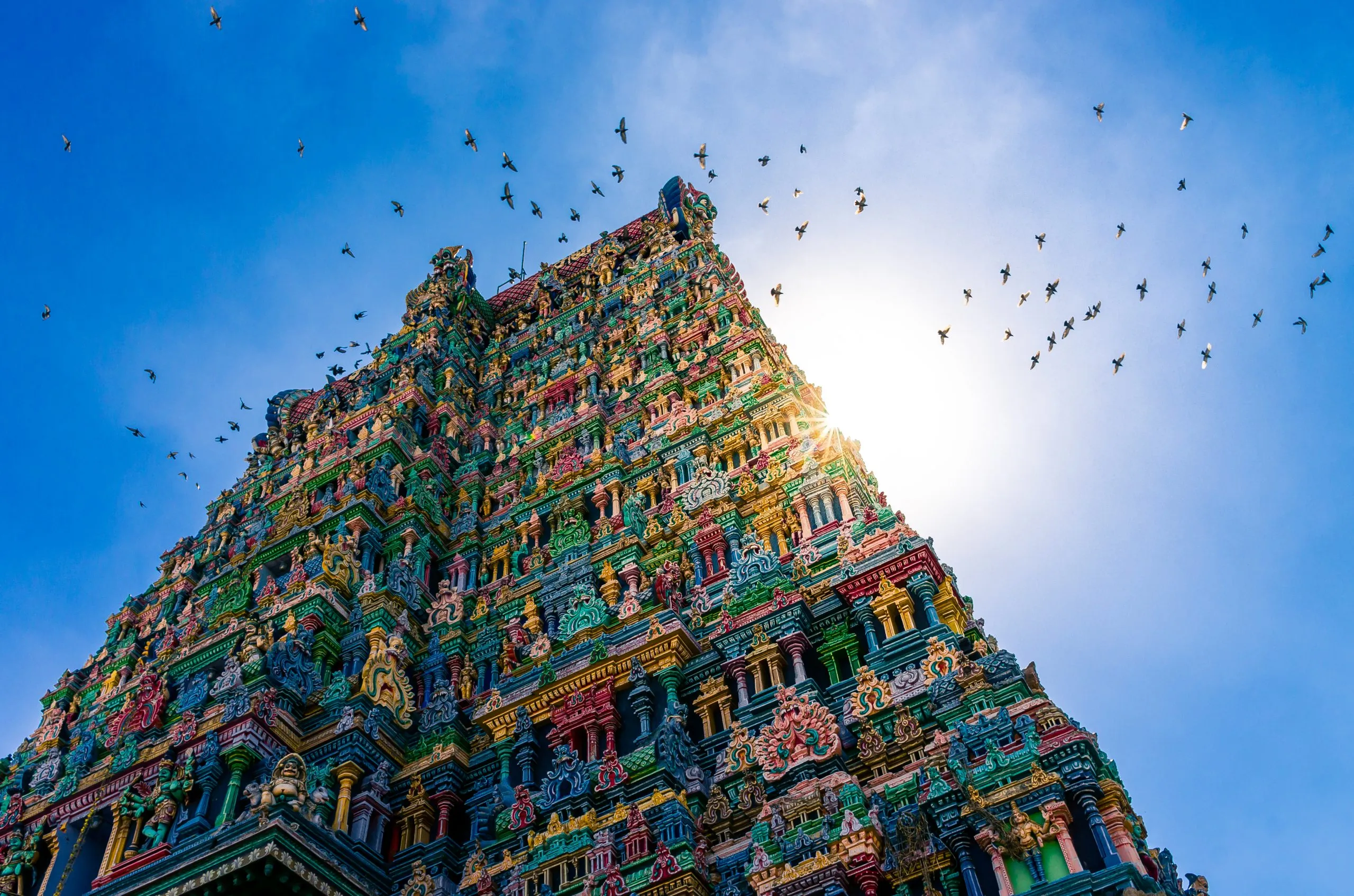 Southern India: Chennai to Cochin