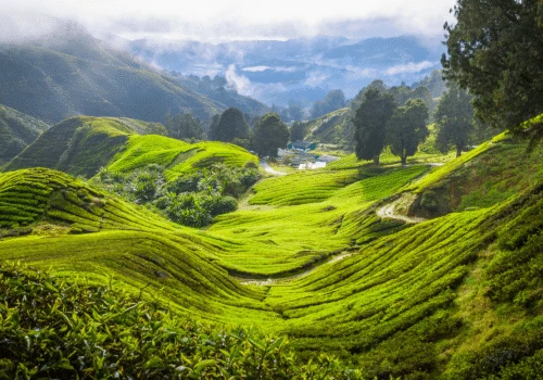 Malaysia