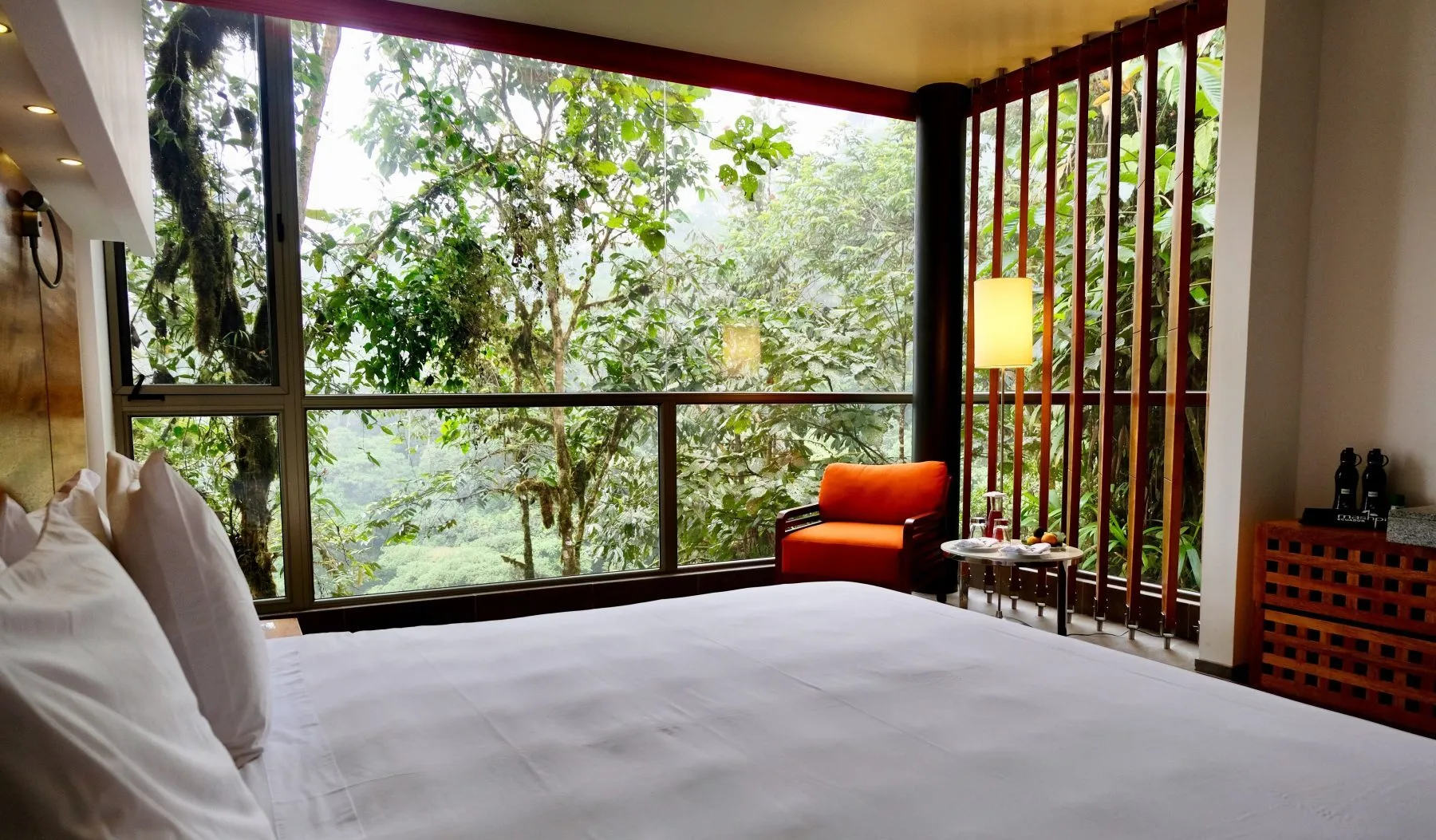 Days 5 and 6: The Cloud Forest