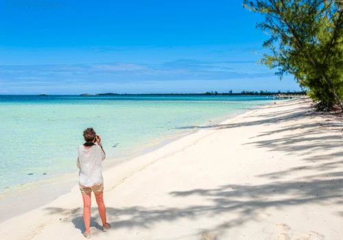 The Caribbean