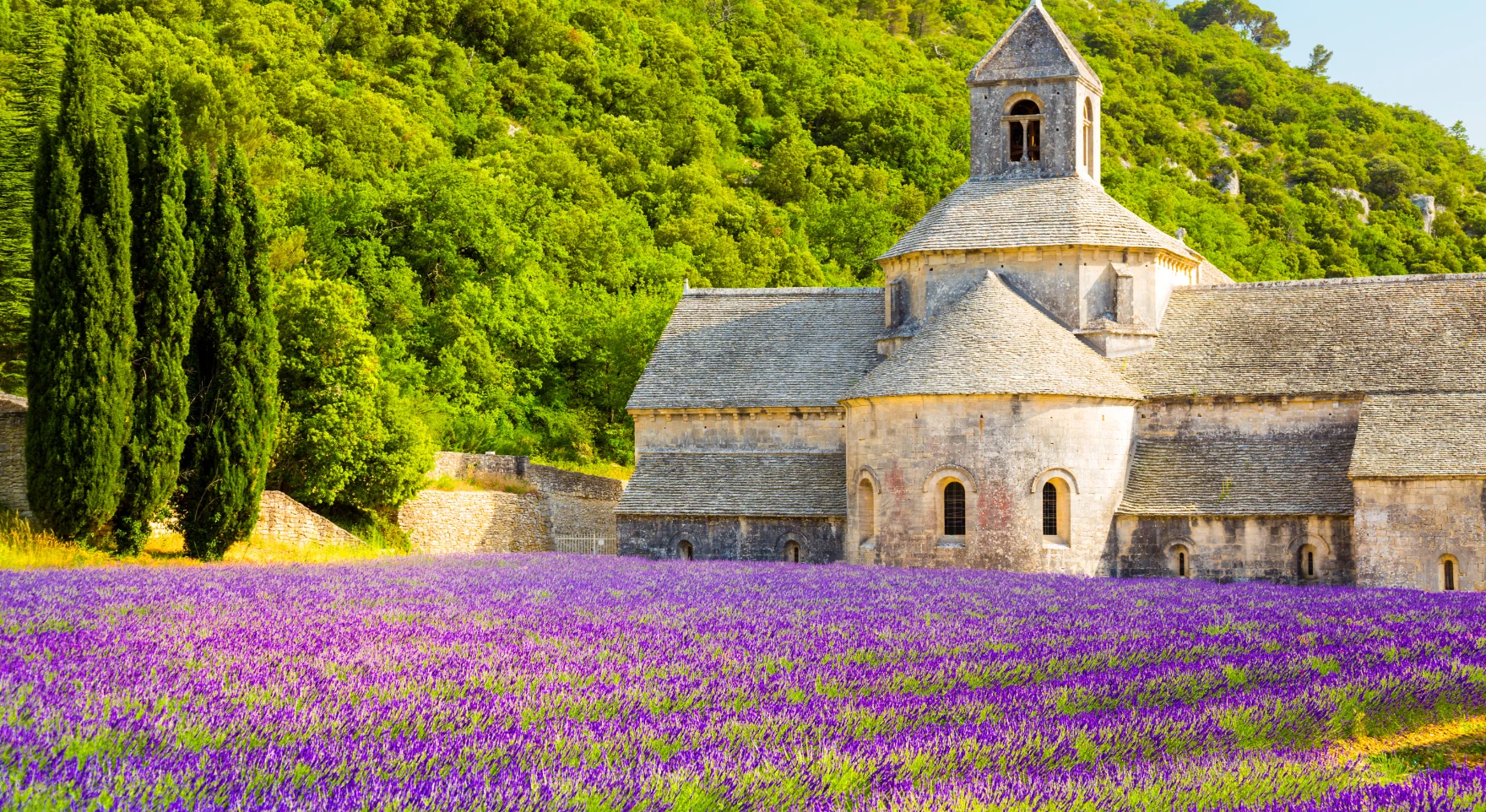 Luxury Provence Wine Tour for LGBTQ+ Travelers