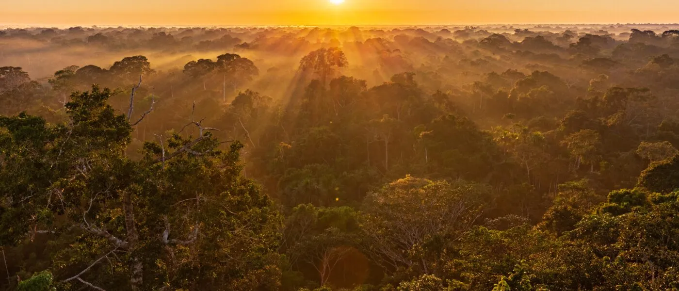 The Peruvian Amazon