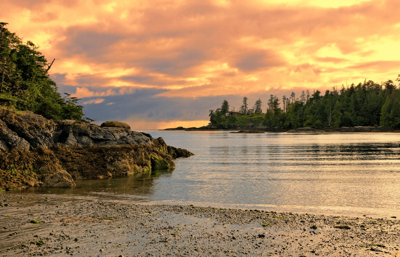 Day 3: Victoria to Tofino